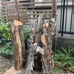 木クズ