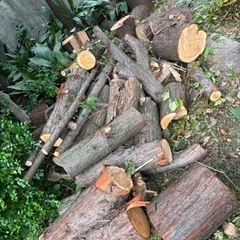 【伐採材】キャンプ、薪ストーブに