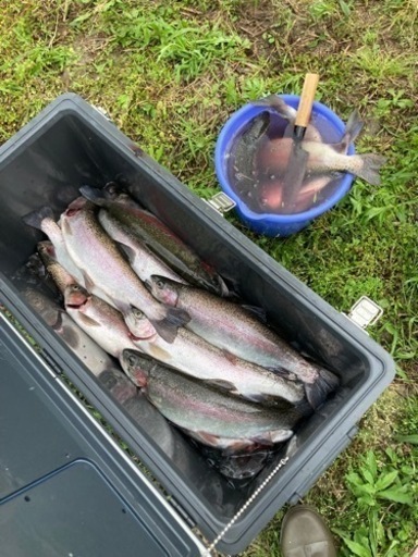 井戸水陸上養殖プールキット（トラウトサーモン）アドバイスサポート付き　筑後市 井戸水陸上養殖プールキット（トラウトサーモン）アドバイスサポート