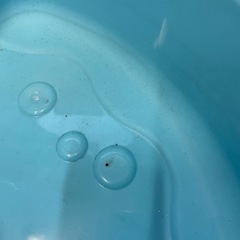 ウォーターテーブル　水遊び
の画像