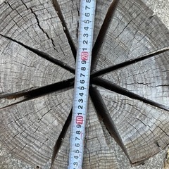 スエーデントーチ　キャンプなどにの画像