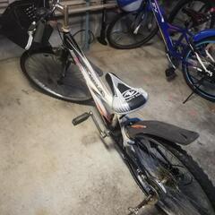 自転車２４インチの画像