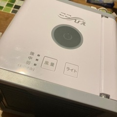 ここひえ