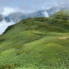 登山しましょう！