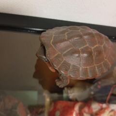 生活雑貨 家庭用品 バス用品の画像