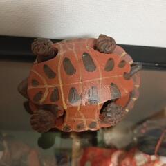 生活雑貨 家庭用品 バス用品の画像