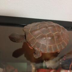 生活雑貨 家庭用品 バス用品の画像