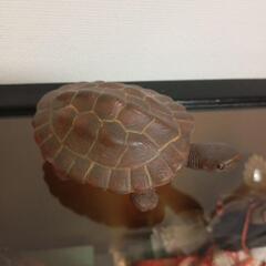 生活雑貨 家庭用品 バス用品