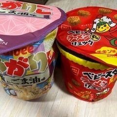 リュック2個　