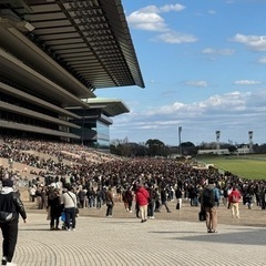 競馬仲間募集！ - 府中市