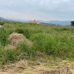 【長浜市】無農薬で畑を作ってくれる方！自給自足生活、土地面積1,000平米:家庭菜園として、1区画の利用でもOK！区画の組み合わせ利用も OK！もちろん、全ての利用もOK！！ - 短期賃貸