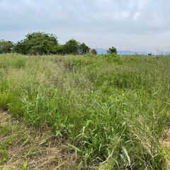 【長浜市】無農薬で畑を作ってくれる方！自給自足生活、土地面積1,000平米:家庭菜園として、1区画の利用でもOK！区画の組み合わせ利用も OK！もちろん、全ての利用もOK！！ − 滋賀県