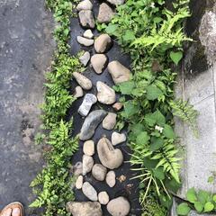 盆栽石　水石　石庭　玉石　箱庭　 ガーデニング