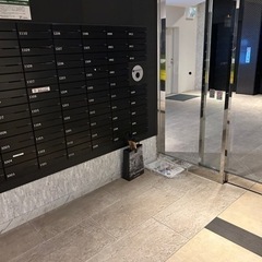 生活雑貨 洗濯用品 ハンガーの画像