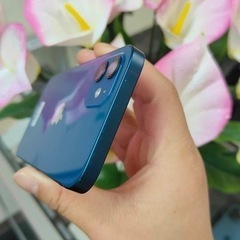 iPhone12 64GB SIMフリー ブルーの画像