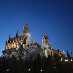 USJ(ユニバ)に一緒に行きませんか？