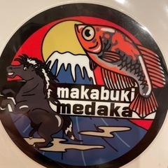 《makabuki.medaka》メダカ　めだか販売　生体　稚魚　卵などの画像