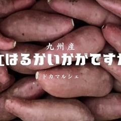 お芋③