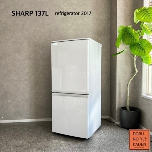 ☑︎ご成約済み SHARP 一人暮らし冷蔵庫 137L✨ 木目調ホワイト