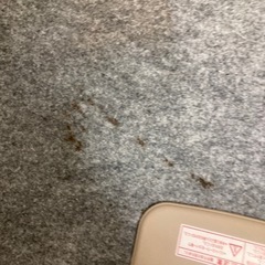 電気カーペット　1畳用の画像