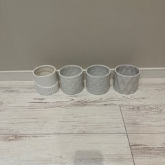 観葉植物鉢