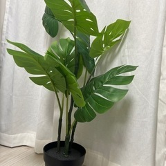 人工観葉植物モンステラの画像