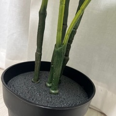 人工観葉植物モンステラの画像