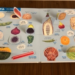 図鑑　まどあけずかん　たべものの画像