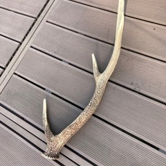 生活雑貨 の画像