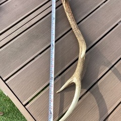 生活雑貨 の画像