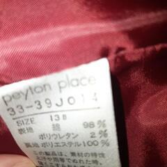 服/ファッション パーティ用ワンピース13号の画像