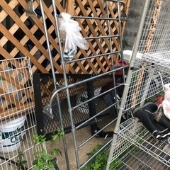 ジムニーの屋根に乗せる台の画像