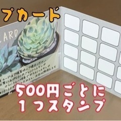 多肉植物（エケベリアやアガベを中心に）販売【2025/9/23更新】の画像