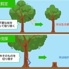 まかせて安心、格安料金！