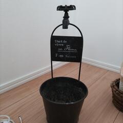 植木鉢