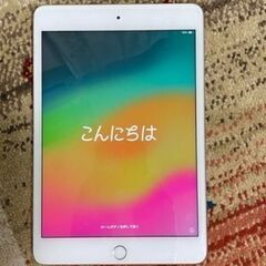 iPad mini5 64GB wi-fi 
