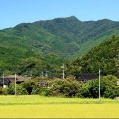 6/2(日)古処山登山しませんか？
