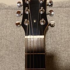 Pignose ピグノーズ ギターの画像