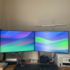 モニターディスプレイDELL U2421E × 2 &　ErGear PCモニタアーム 2画面の画像