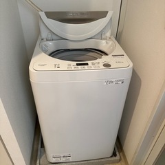 家電 生活家電 洗濯機