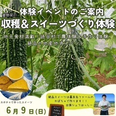 【6/9日13:00開催】夏野菜収穫体験＆かぼちゃスイーツ作り体...