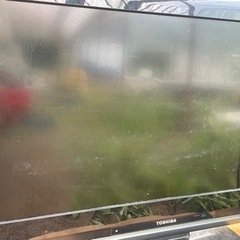 今週まで　テレビ　TV