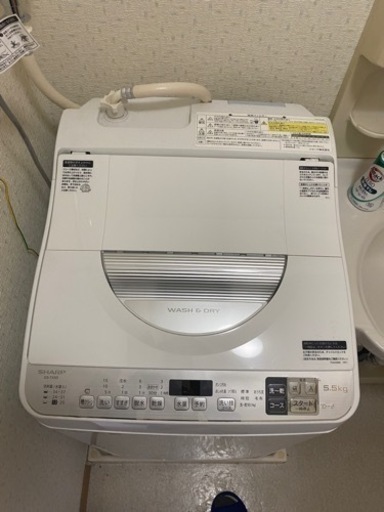 家電 生活家電 洗濯機