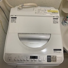 家電 生活家電 洗濯機
