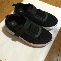 マジックテープ式 スニーカーの画像