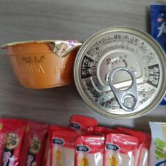 お渡し予定決まりました!猫ご飯他の画像