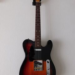 Telecaster Type Electric Guitar