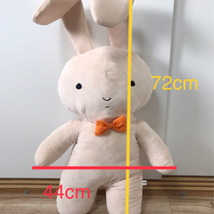 ネネちゃんのウサギあげますの画像