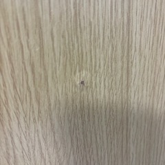 家具 カーペット/マット/ラグの画像