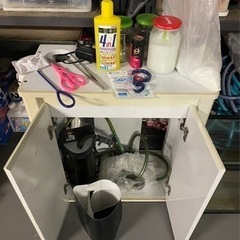 ★水槽アクアリウム卒業の為全てお譲り致します